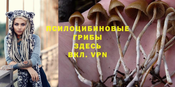PSILOCYBIN Богородск