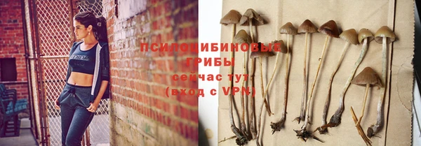 PSILOCYBIN Богородск